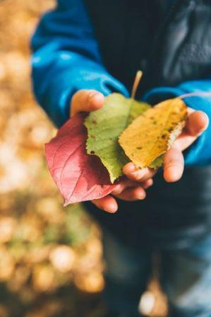 Child Care Training Course in Dunedin